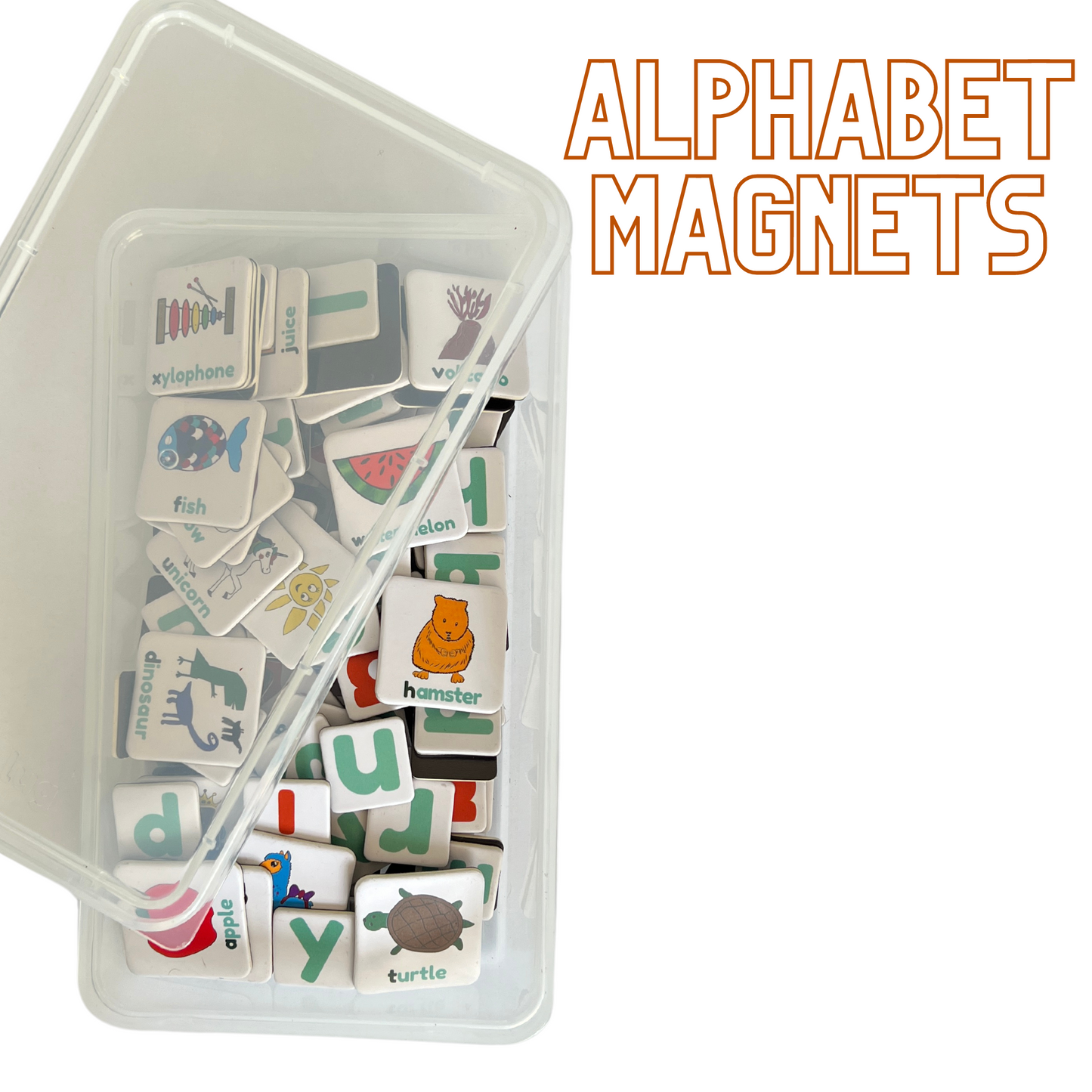 Alphabet Magnet Set