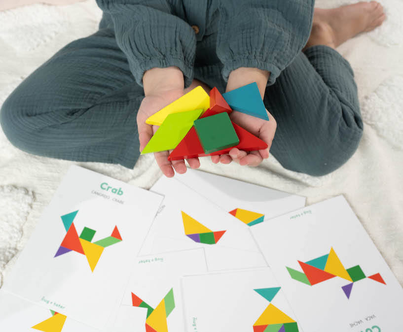 Magnetic Wooden Tangram Pieces and Pattern Cards